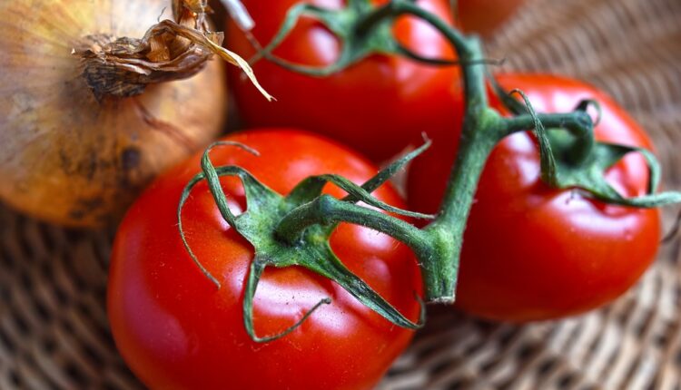 Trajaće mnogo duže: Evo kako da sprečite da vam paradajz brzo omekša i pokvari se