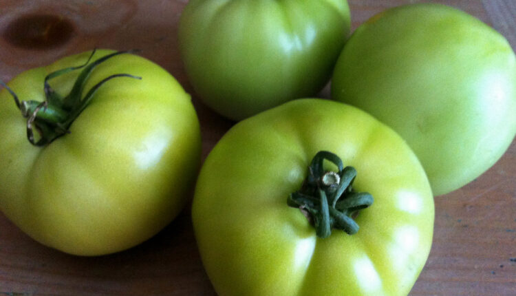 Jesenji specijalitet: Nekuvani ajvar od zelenog paradajza Jesenji specijalitet: Nekuvani ajvar od zelenog paradajza