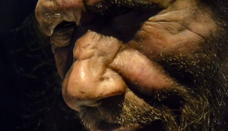 Otkrivena istina o tome kako su izumrli neandertalci