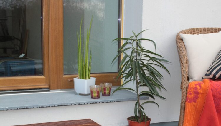 Evo kada biljke s balkona treba uneti u zatvoreno: Jednu veliku grešku prave mnogi