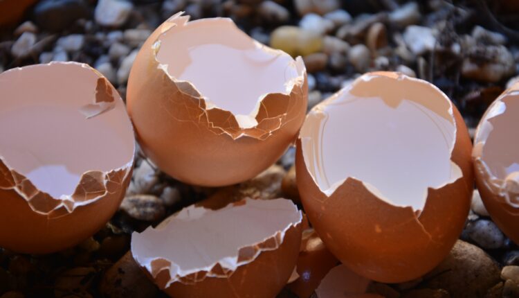 Pomešajte ljuske od jaja sa sodom bikarbonom i dobićete nešto fantastično