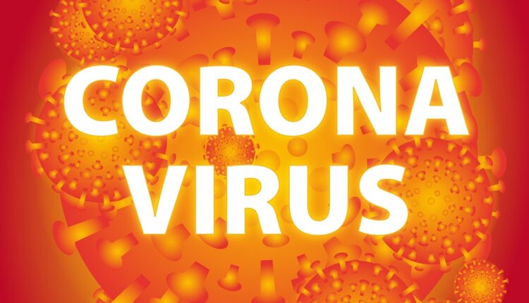 U Srbiji još 71 zaraženih koronavirusom, ukupno 528 U Srbiji još 71 zaraženih koronavirusom, ukupno 528