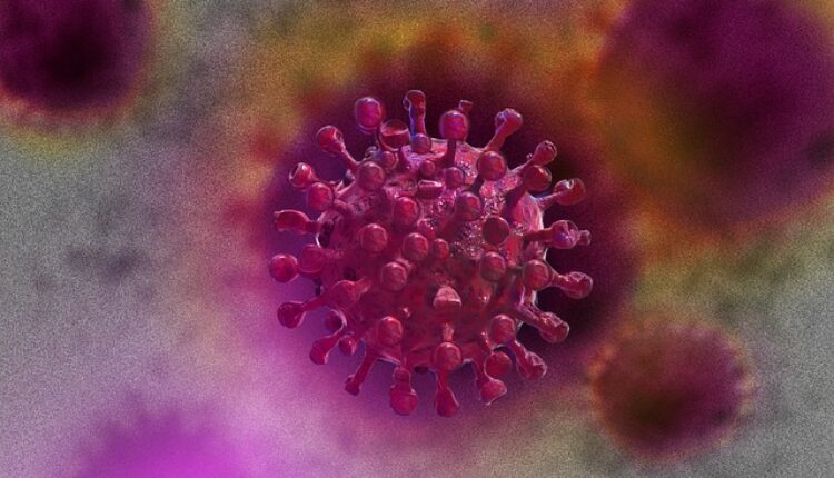 Neočekivano otkriće baca novo svetlo na priču o poreklu koronavirusa