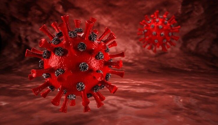 Trenutno najveće žarište virusa u Srbiji