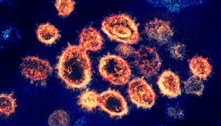 Ohrabruje: Naučnici ustanovili koliko traje imunitet na koronu