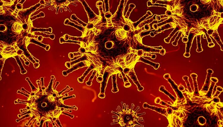 Hrvatski epidemiolog objašnjava kako usporiti širenje korone Hrvatski epidemiolog objašnjava kako usporiti širenje korone