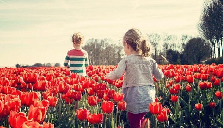 Pravo je vreme da posadite ove 3 biljke – prelepe i dekorativne, a privlače sreću, ljubav i zdravlje Pravo je vreme da posadite ove 3 biljke – prelepe i dekorativne, a privlače sreću, ljubav i zdravlje