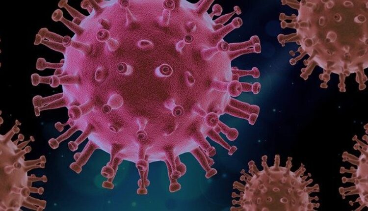 Epidemiolog otkriva kako će Srbija obuzdati rast broja obolelih od korone Epidemiolog otkriva kako će Srbija obuzdati rast broja obolelih od korone
