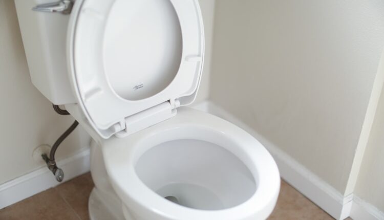 Spas: Kako da odgušite začepljenu WC šolju bez ikakvog alata