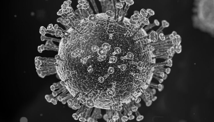 Najnovi podaci u vezi sa koronavirusom
