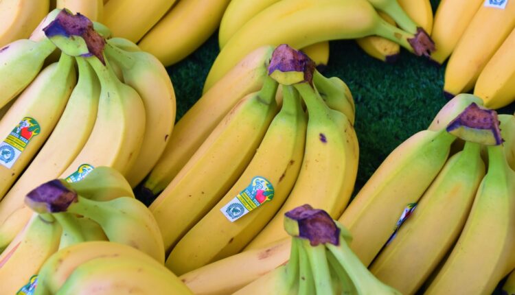 Znate li čemu služe nalepnice na bananama: Jedan broj na njima je posebno važan Znate li čemu služe nalepnice na bananama: Jedan broj na njima je posebno važan