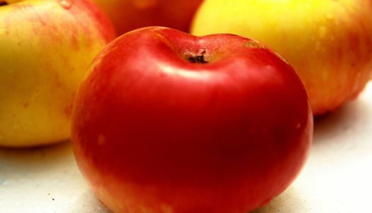 Jeste li probali dijetu sa jabukama?