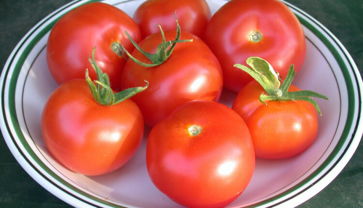 Ne, paradajz ne treba čuvati u frižideru: Evo kako će jedino zadržati svežinu i ukus