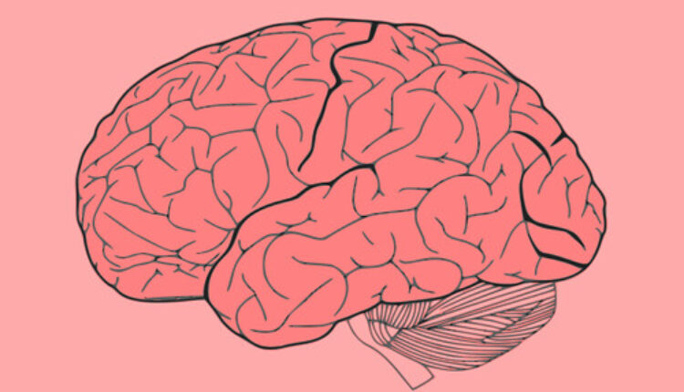 Otkriven „centar zla“ u mozgu: Moglo bi se sprečiti nasilje?