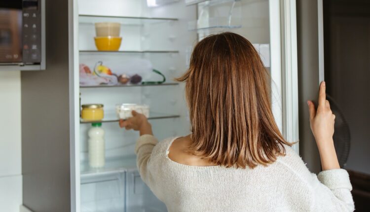 Stavila sunđer za pranje sudova u frižider, i vi ćete kad saznate razlog