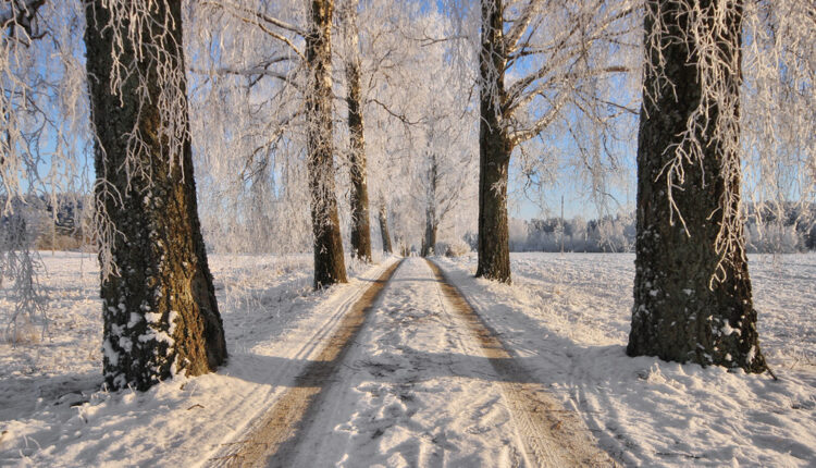 Veliki NEDELJNI horoskop (od 11. do 17. januara 2021)