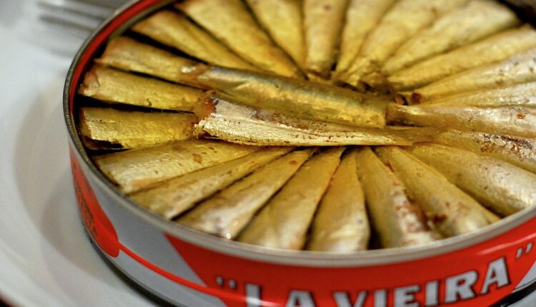 Lekari otkrili sve o ishrani sitnom ribom: Evo zašto treba jesti sardine, haringe i inćune