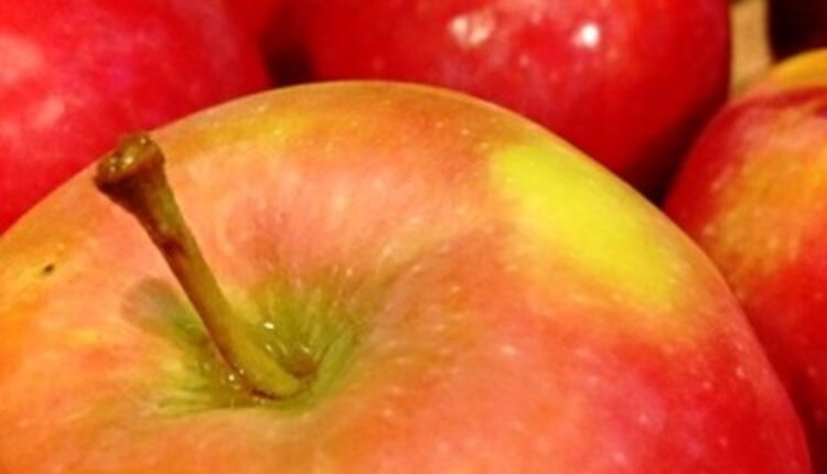 Treba li jesti jabuke svaki dan?