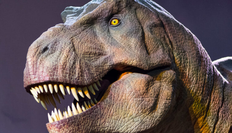 Nova teorija naučnika o dinosaurusima: Živeli kao vukovi? Nova teorija naučnika o dinosaurusima: Živeli kao vukovi?