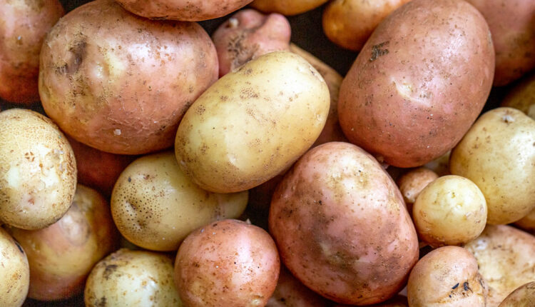 2 stvari su bitne: Kako da znate da li mlad krompir zaista mlad