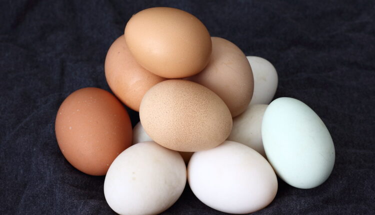 Bela jaja su najbolja za farbanje, a evo kako da ih sami dobijete