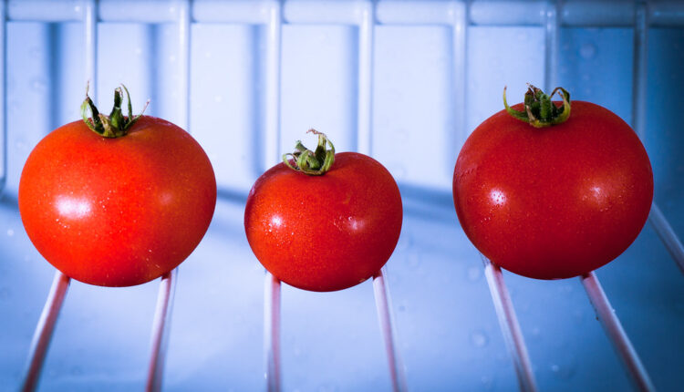 Zašto paradajz ne ide u frižider