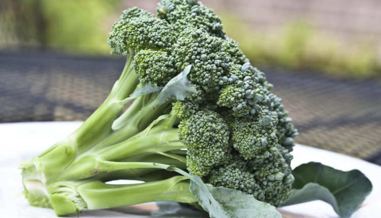 Baš ovako treba da spremate brokoli da bio što zdraviji