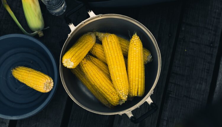 Brzo i lako, za samo 10 minuta: Dodajte ova 2 sastojka dok kuvate kukuruz, dobićete savršenstvo od ukusa