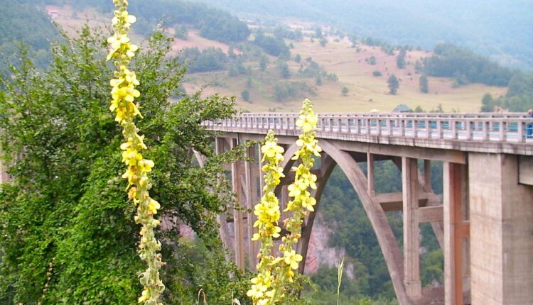 Misterija dva samoubistva u Crnoj Gori: Dvoje mladih skočilo u smrt sa 180 metara