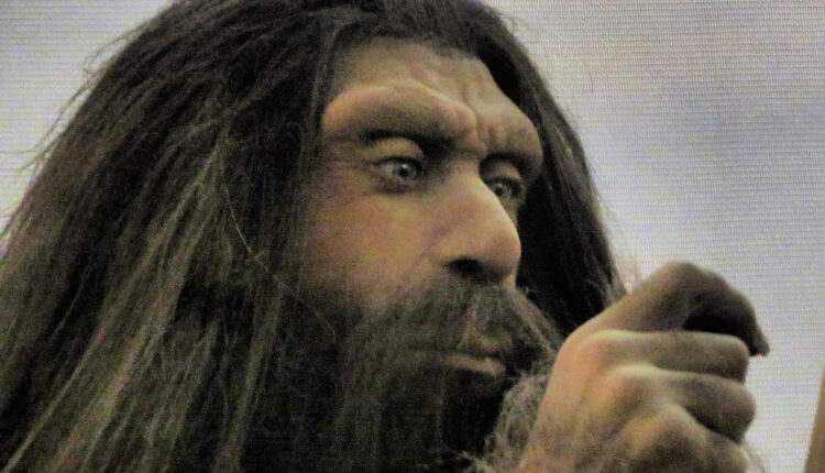 Novo naučno otkriće pokazuje zbog čega su izumrli neandertalci Novo naučno otkriće pokazuje zbog čega su izumrli neandertalci