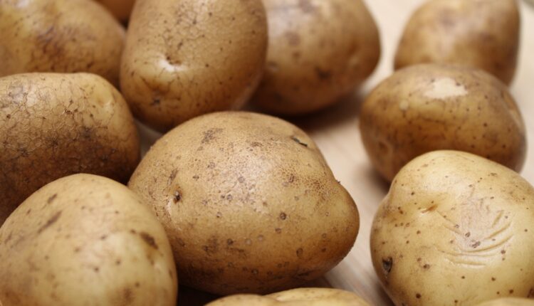 Ovako ga možete čuvati mesecima: Evo kako da sprečite klijanje krompira