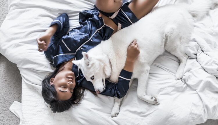 „Opasno je“: Veterinarka otkriva zašto psi ne bi trebalo da spavaju s ljudima u krevetu
