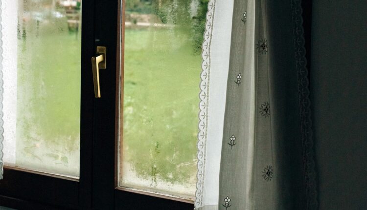 Hladni meseci donose probleme u kući: Evo kako da se rešite zamagljenih prozora i stvaranja štetne buđi