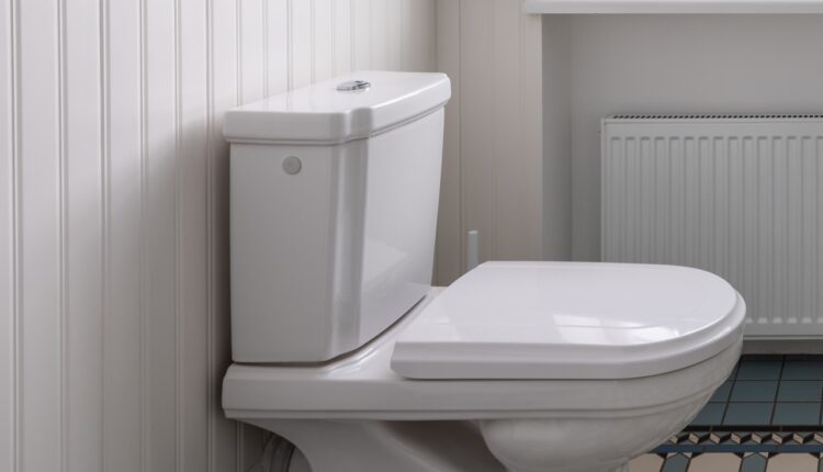 Bez muke do blistave čistoće: Očistite vodokotlić sa ova 2 sastojka i WC šolja će zasijati kao nova