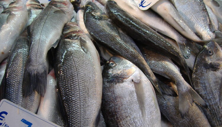 Najzdravija moguća hrana: Ali ovo morate da pazite kad kupujete ribu, nije svejedno