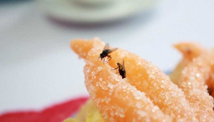 Uz ovaj sjajan trik oteraćete muve bez pesticida