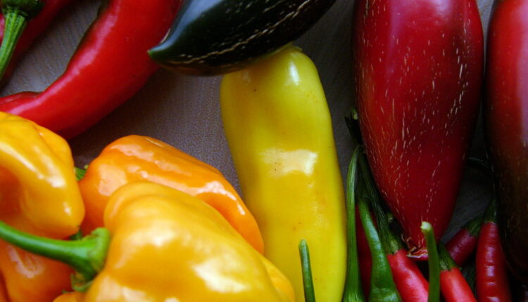 Bolje i od punjenih: 2 sastojka prave ogromnu razliku, pržene paprike nikad ukusnije