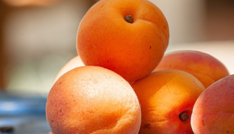Omiljeno voće nije za svakog: Ljudi sa ovom bolesti ne smeju da jedu kajsije