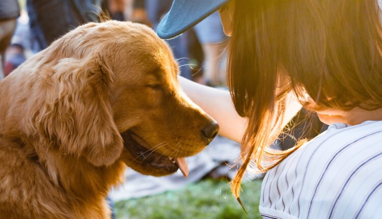 Ako vaš pas radi ovih 5 stvari, pokazuje da vam bezuslovno veruje, tvrdi veterinar