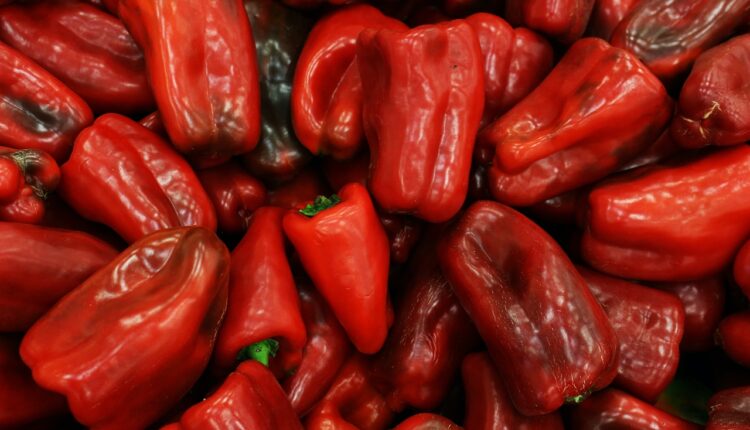 Znate li po čemu se razlikuju paprike? Jedne su uvek najskuplje, a evo koja sorta je najzdravija