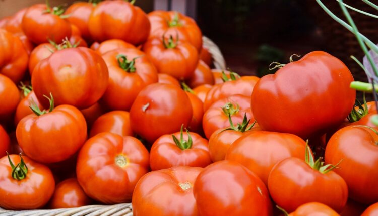 Žene starije od 40 godina treba da jedu paradajz: Evo šta se dešava sa telom ako ga redovno koristite