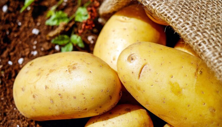 Kako sprečiti klijanje krompira: Jednostavan trik uz koji ga možete čuvati mesecima