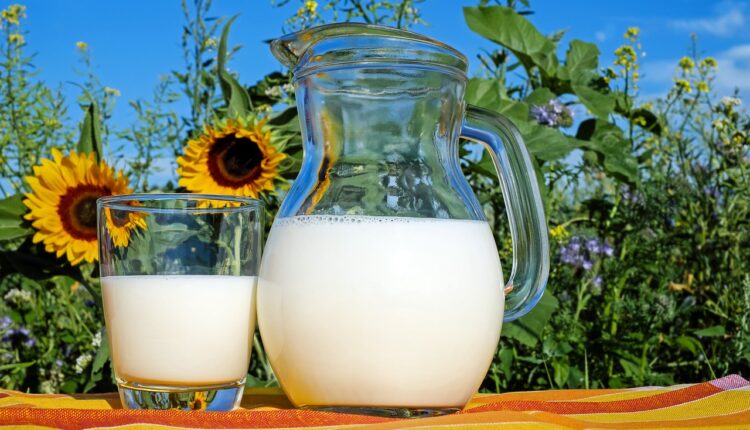 Konačno imamo odgovor šta je zdravije: Mleko ili jogurt? Konačno imamo odgovor šta je zdravije: Mleko ili jogurt?