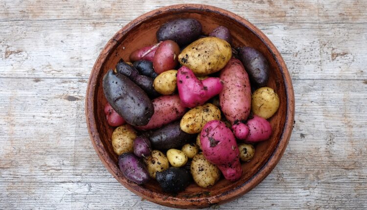 Nije svejedno koje boje je krompir koji koristite, jedan je zdraviji!