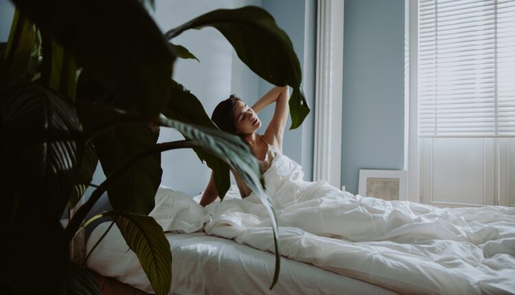 Kvalitetniji san: Ove 3 biljke stavite u spavaću sobu, opustiće vas pre spavanja i pomoći da brže zaspite