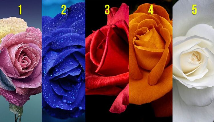 Koja ruža vam se najviše dopada? Test podsvesti otkriva šta vas vodi u životu, a šta krijete od drugih
