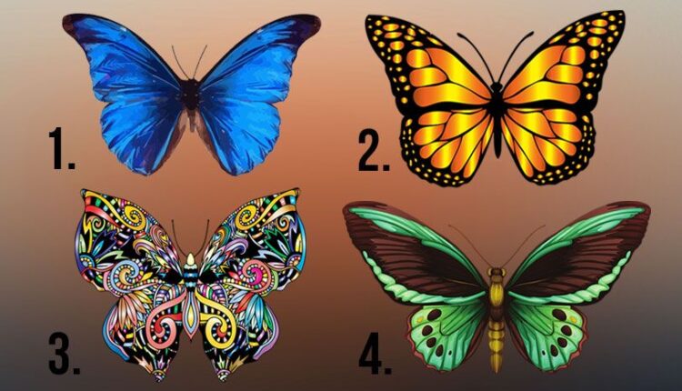 Izaberite jednog leptira sa slike i saznajte kako da dobijete od života sve ono što želite