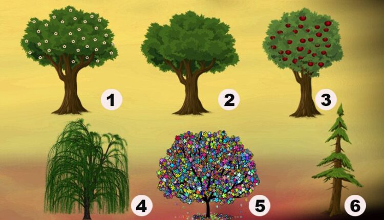 Izaberite jedno drvo sa ove ilustracije i saznajte koja vaša osobina je dominanta i kako vas drugi ljudi vide