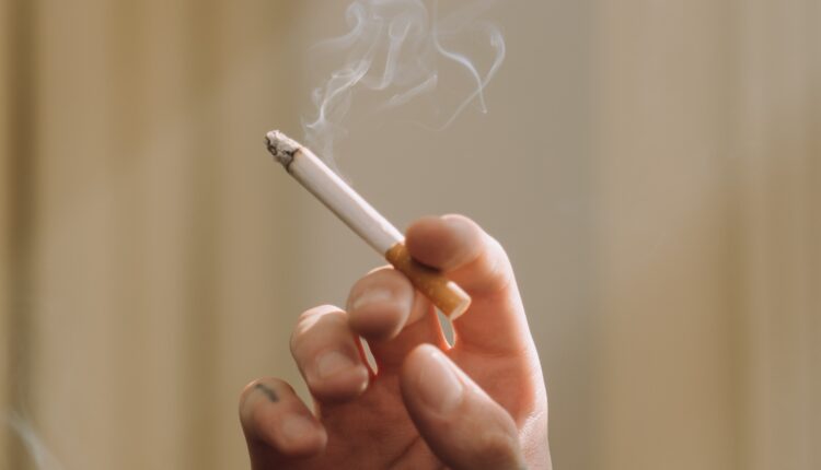 Vreme je da ostavite cigarete: U tome bi mogle da vam pomognu neke od ovih biljaka Vreme je da ostavite cigarete: U tome bi mogle da vam pomognu neke od ovih biljaka