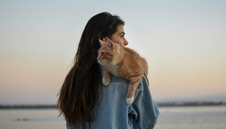 Terapija „dodir mačke“ je hit u svetu: Posebno je efikasna za lečenje zglobova i ginekoloških problema
